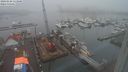 ./images/victoria/wharf/20240128/wharf20240128_113501.jpg