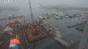 ./images/victoria/wharf/20240128/wharf20240128_114000.jpg