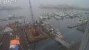 ./images/victoria/wharf/20240128/wharf20240128_121500.jpg