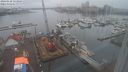 ./images/victoria/wharf/20240128/wharf20240128_134000.jpg