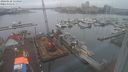 ./images/victoria/wharf/20240128/wharf20240128_135000.jpg