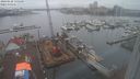 ./images/victoria/wharf/20240128/wharf20240128_135500.jpg