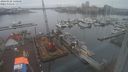 ./images/victoria/wharf/20240128/wharf20240128_140000.jpg