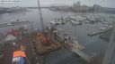 ./images/victoria/wharf/20240128/wharf20240128_140500.jpg