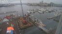 ./images/victoria/wharf/20240128/wharf20240128_155500.jpg