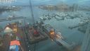 ./images/victoria/wharf/20240129/wharf20240129_075000.jpg