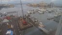 ./images/victoria/wharf/20240129/wharf20240129_083000.jpg