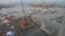 ./images/victoria/wharf/20240129/wharf20240129_084000.jpg