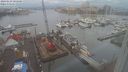 ./images/victoria/wharf/20240129/wharf20240129_085000.jpg