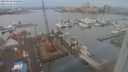 ./images/victoria/wharf/20240129/wharf20240129_100500.jpg