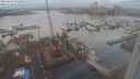 ./images/victoria/wharf/20240129/wharf20240129_104500.jpg