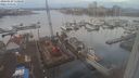 ./images/victoria/wharf/20240129/wharf20240129_110000.jpg