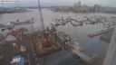 ./images/victoria/wharf/20240129/wharf20240129_112500.jpg