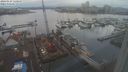 ./images/victoria/wharf/20240129/wharf20240129_121000.jpg