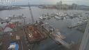 ./images/victoria/wharf/20240129/wharf20240129_131500.jpg