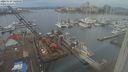 ./images/victoria/wharf/20240129/wharf20240129_140000.jpg