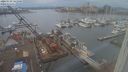 ./images/victoria/wharf/20240129/wharf20240129_141001.jpg