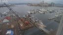 ./images/victoria/wharf/20240129/wharf20240129_142000.jpg