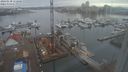 ./images/victoria/wharf/20240130/wharf20240130_112501.jpg