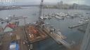 ./images/victoria/wharf/20240131/wharf20240131_111501.jpg
