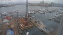 ./images/victoria/wharf/20240131/wharf20240131_115500.jpg