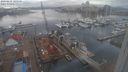 ./images/victoria/wharf/20240131/wharf20240131_144500.jpg