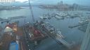 ./images/victoria/wharf/20240201/wharf20240201_074500.jpg