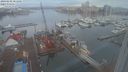 ./images/victoria/wharf/20240202/wharf20240202_081001.jpg