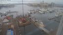 ./images/victoria/wharf/20240202/wharf20240202_100001.jpg