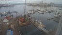 ./images/victoria/wharf/20240202/wharf20240202_104500.jpg