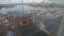 ./images/victoria/wharf/20240202/wharf20240202_110501.jpg