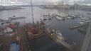 ./images/victoria/wharf/20240202/wharf20240202_130000.jpg