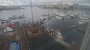./images/victoria/wharf/20240202/wharf20240202_130500.jpg