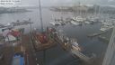 ./images/victoria/wharf/20240202/wharf20240202_131001.jpg