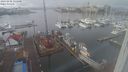./images/victoria/wharf/20240202/wharf20240202_131500.jpg
