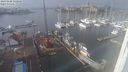 ./images/victoria/wharf/20240202/wharf20240202_132000.jpg