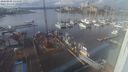 ./images/victoria/wharf/20240202/wharf20240202_134000.jpg