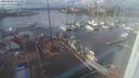 ./images/victoria/wharf/20240202/wharf20240202_135000.jpg