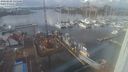 ./images/victoria/wharf/20240202/wharf20240202_135500.jpg