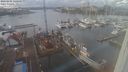./images/victoria/wharf/20240202/wharf20240202_140500.jpg