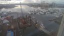 ./images/victoria/wharf/20240202/wharf20240202_144000.jpg