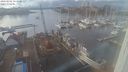 ./images/victoria/wharf/20240202/wharf20240202_153001.jpg