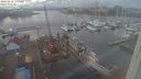 ./images/victoria/wharf/20240202/wharf20240202_155501.jpg