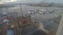 ./images/victoria/wharf/20240202/wharf20240202_161000.jpg