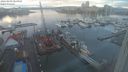 ./images/victoria/wharf/20240203/wharf20240203_085000.jpg
