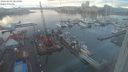 ./images/victoria/wharf/20240203/wharf20240203_085500.jpg