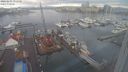 ./images/victoria/wharf/20240203/wharf20240203_092500.jpg