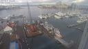 ./images/victoria/wharf/20240203/wharf20240203_101000.jpg