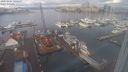 ./images/victoria/wharf/20240203/wharf20240203_101500.jpg