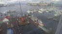 ./images/victoria/wharf/20240203/wharf20240203_102500.jpg